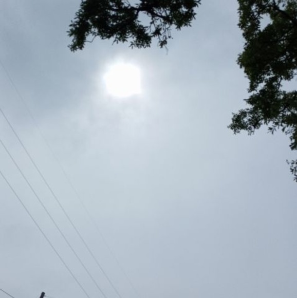 Meet your Posher, Danilo - Picture 1 of 1